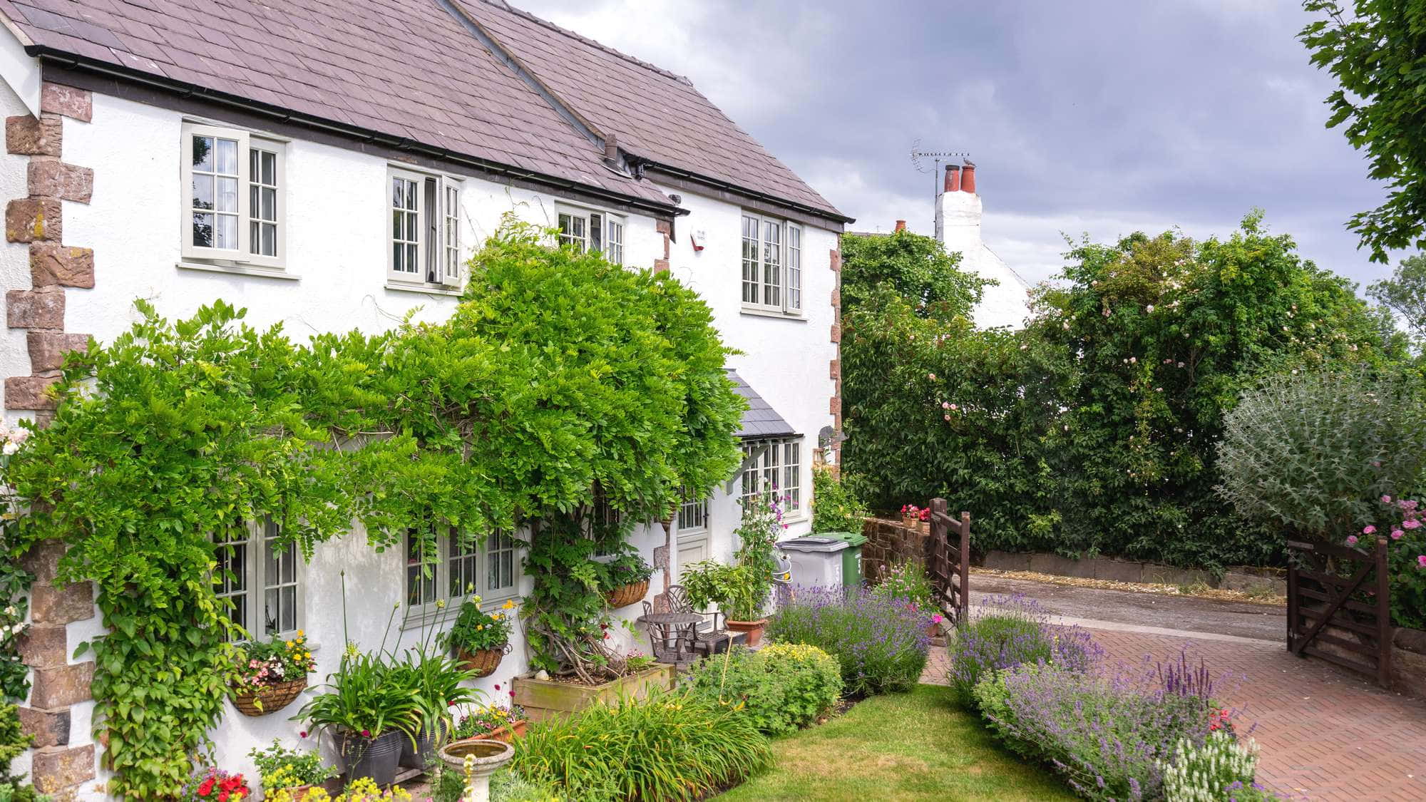 Traditional cottage with large wisteria and beautiful cottage garden.